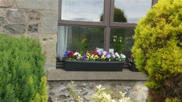 Scooniehill Farm House B&B St Andrews Exterior photo