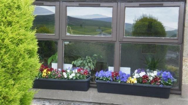 Scooniehill Farm House B&B St Andrews Room photo
