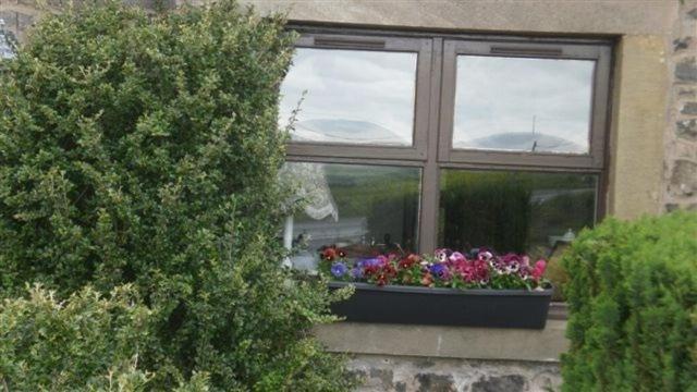 Scooniehill Farm House B&B St Andrews Room photo