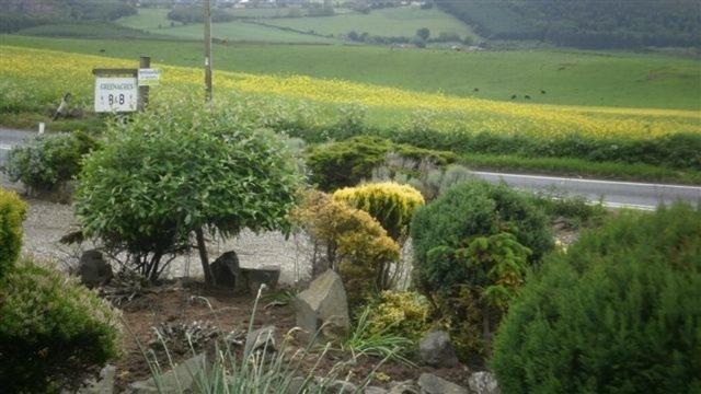 Scooniehill Farm House B&B St Andrews Room photo